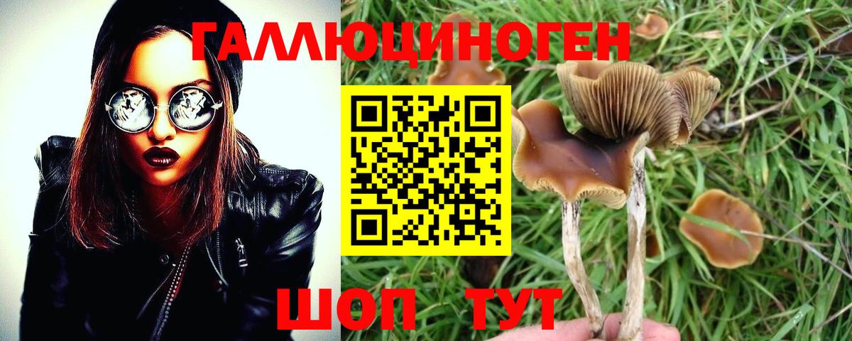 Красноармейск  где купить наркотик  Вход с VPN  Псилоцибиновые грибы GOLDEN TEACHER 
